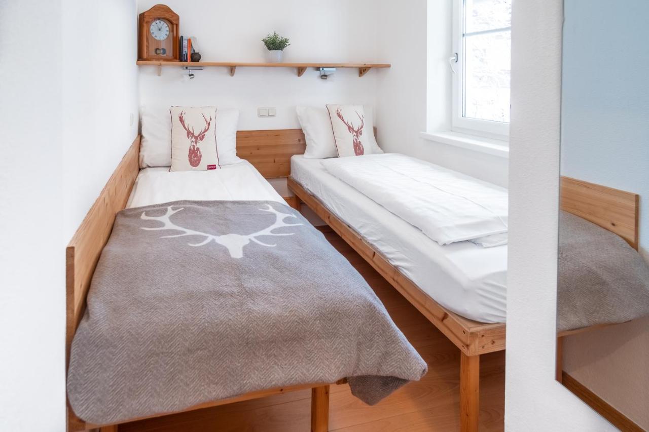 Schmitten & Cityxpress Apartment 1 And 2 Zell am See Ngoại thất bức ảnh