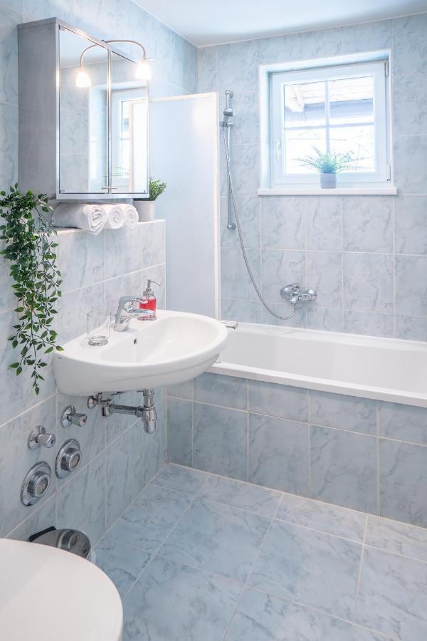 Schmitten & Cityxpress Apartment 1 And 2 Zell am See Ngoại thất bức ảnh